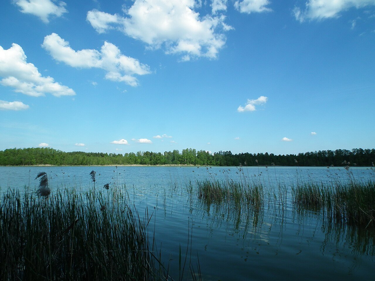 Jezioro Wielkie koło Miałów, gmina Wieleń — fotografia archiwalna.